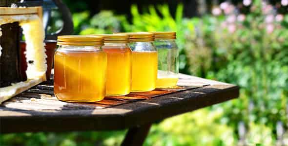 ما فوائد عسل النحل