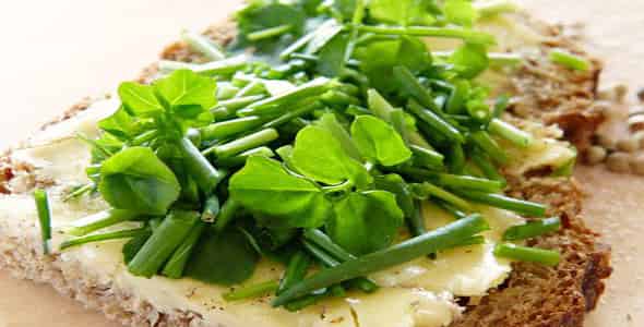 فوائد الجرجير