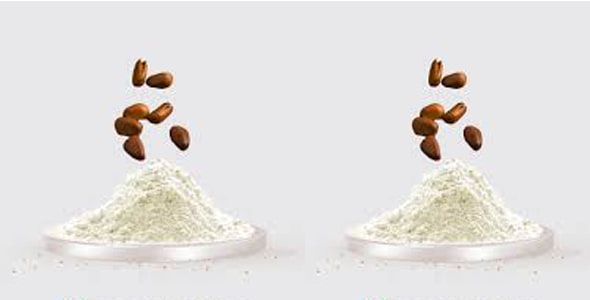 فوائد السحلب وأضراره